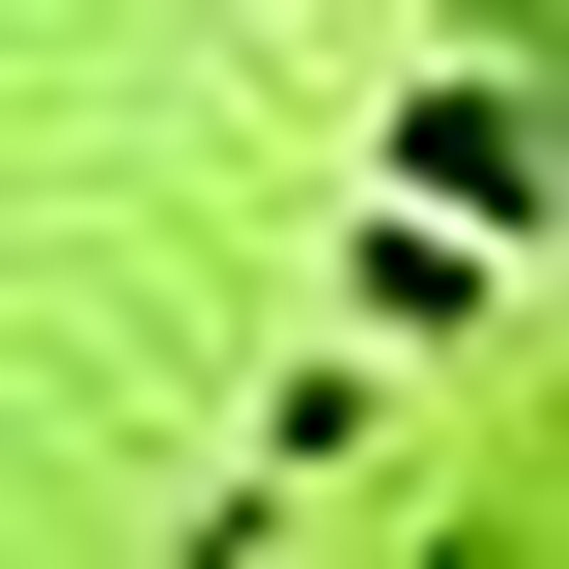 Running Shoes for Men Sneakers Walking Shoes Gym Walking Springs Running Tennis Shoes Fashion Jogging Sneakers (10, Green)